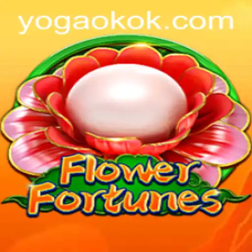 OKOK YOGA Apostas esportivas